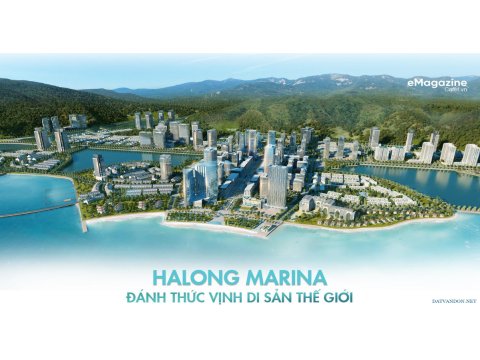 CÔNG TRÌNH MARINA HẠ LONG